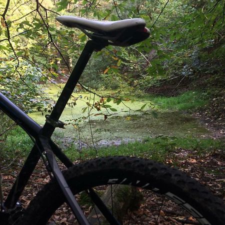 Ardennes Forest 纳索尼厄 外观 照片