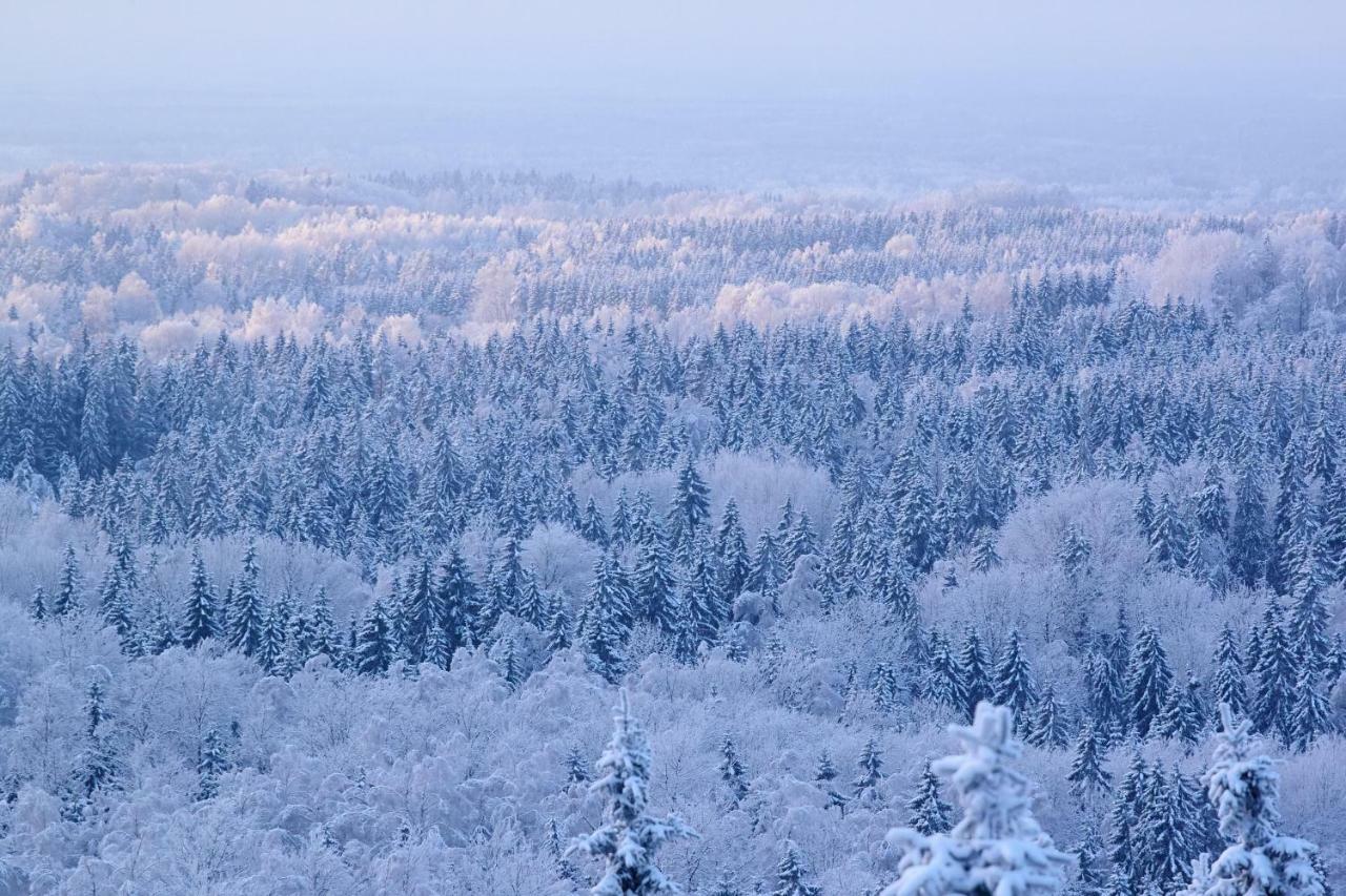 Ardennes Forest 纳索尼厄 外观 照片